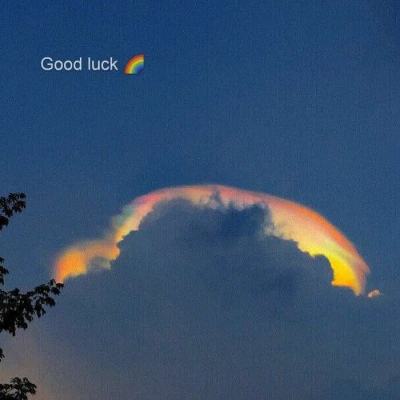 金年会app下载官网官方入口